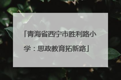 青海省西宁市胜利路小学：思政教育拓新路